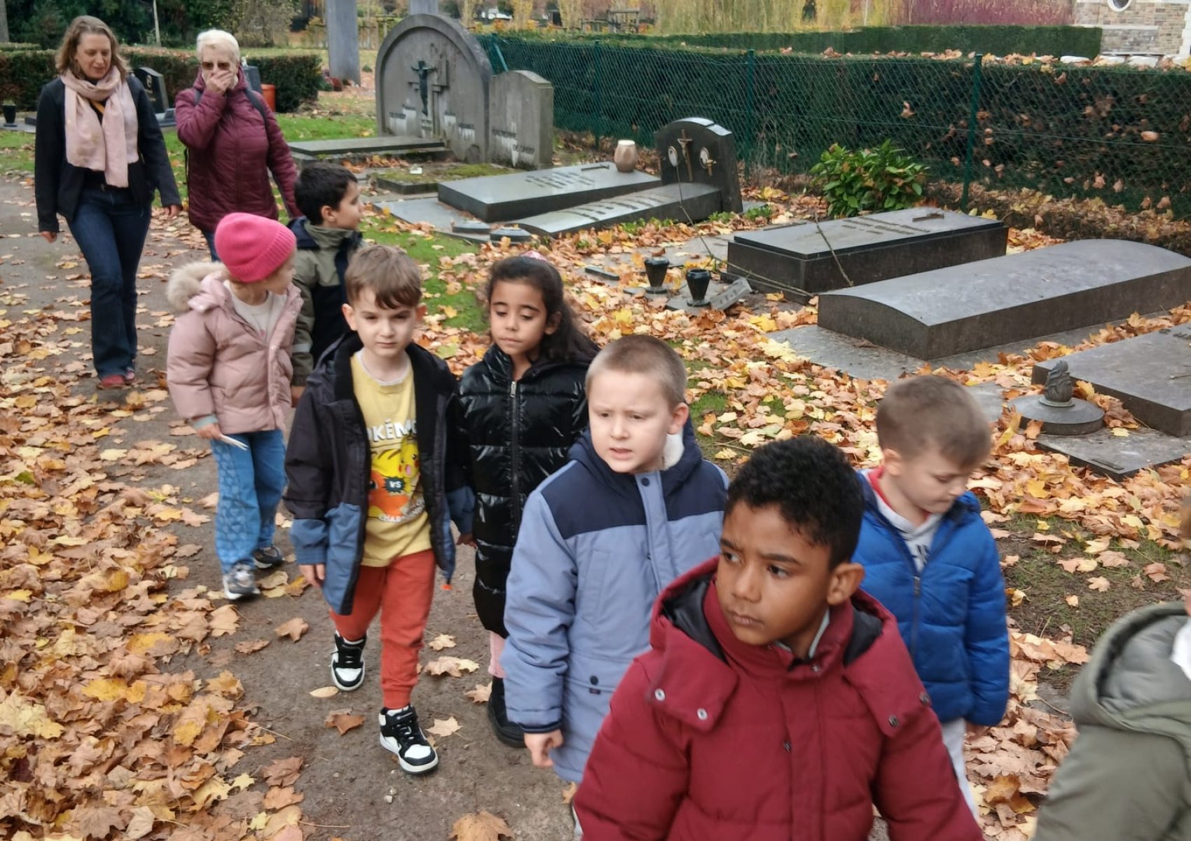 whatsapp image 2025-11-15 at 22.16.26 8